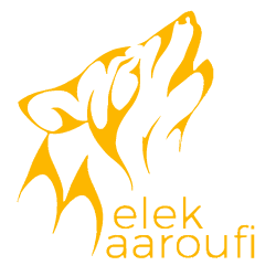 Melek Maaroufi